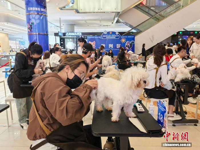 赛事前瞻：深度解读热门联赛 - 球探比分